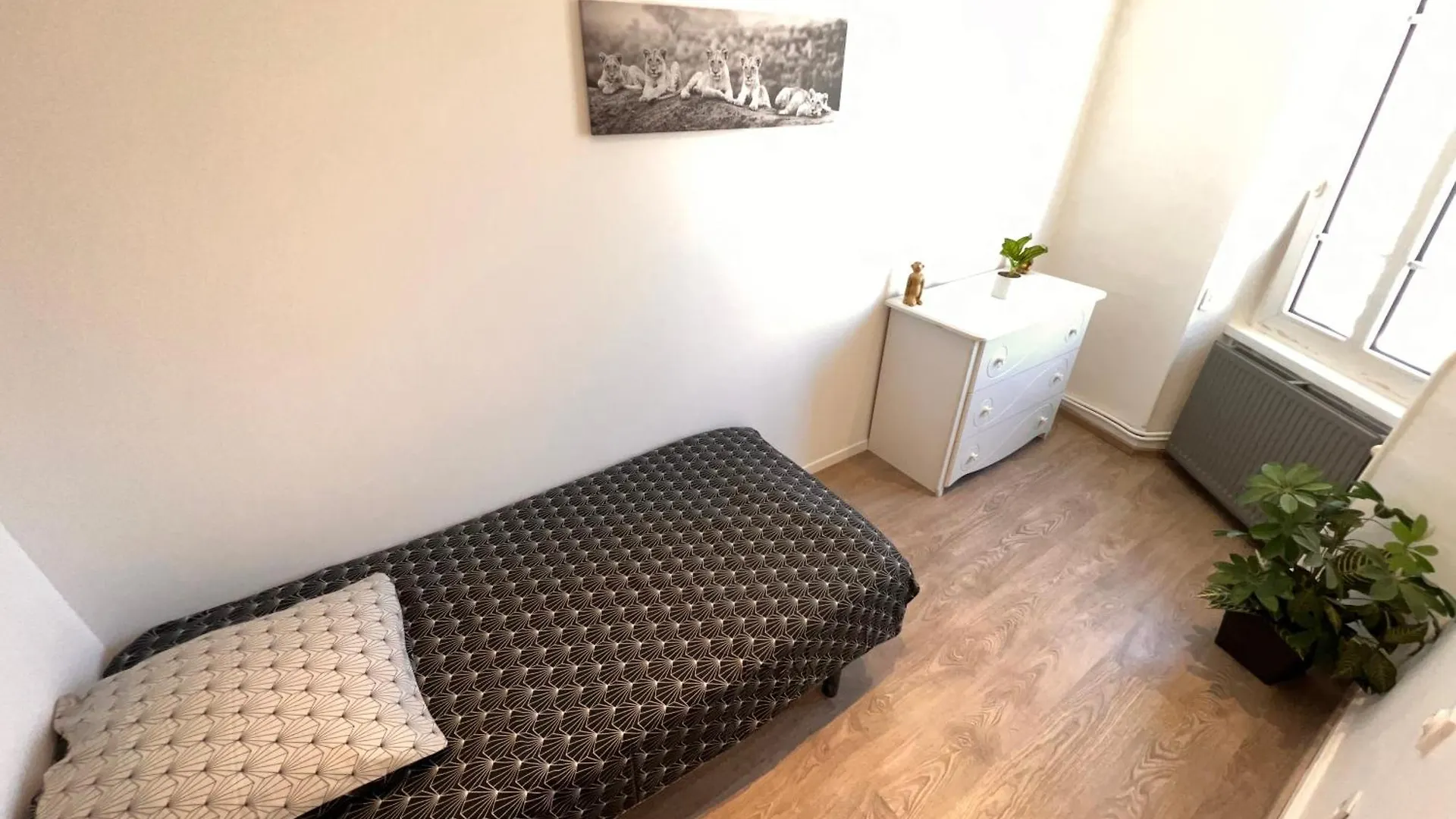 Appartement Centre-Ville Tres Spacieux Avec 4 Chambres La Tour-du-Pin